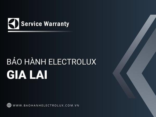 Trung tâm bảo hành Electrolux tại Gia Lai | 1+ địa chỉ gần đây