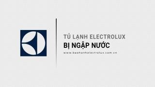 Tủ lạnh Electrolux bị ngập nước: Cách xử lý & Lưu ý quan trọng