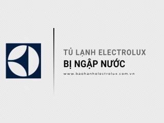Tủ lạnh Electrolux bị ngập nước: Cách xử lý & Lưu ý quan trọng