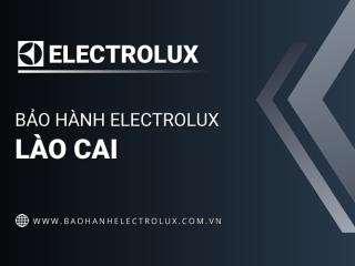 Trung tâm bảo hành Electrolux tại Lào Cai | 1 địa chỉ chính thức