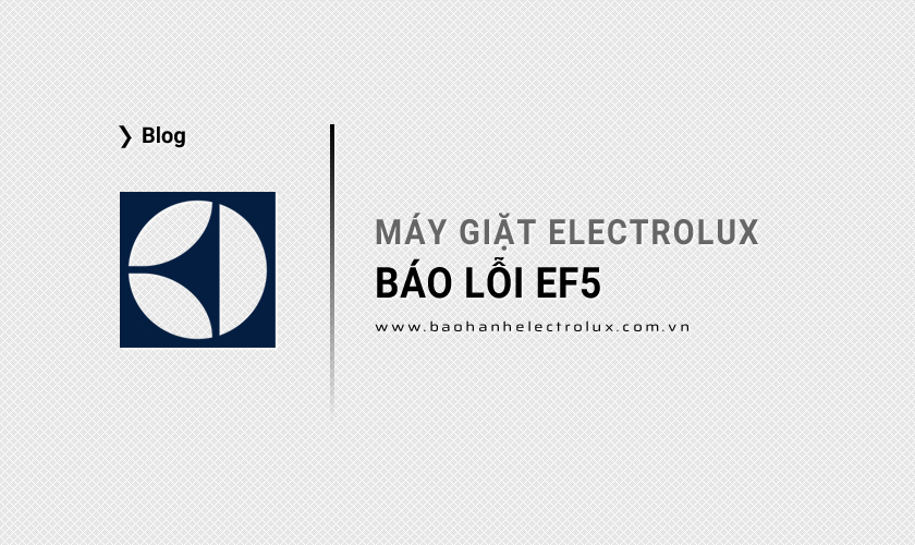 Máy giặt Electrolux báo lỗi EF5