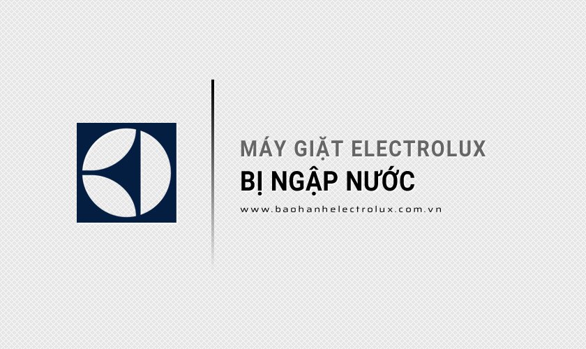 Máy giặt Electrolux bị ngập nước